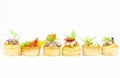 Mini Canape Royalty Free Stock Photo