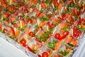 Mini canape with vegetables Royalty Free Stock Photo