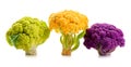 Mini cauliflower. Multi-colored. Purple, yellow, green