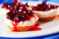 Mini cheese cakes with cranberries Royalty Free Stock Photo