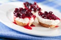 Mini cheese cakes with cranberries Royalty Free Stock Photo