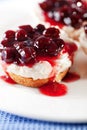 Mini cheese cakes with cranberries Royalty Free Stock Photo