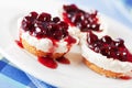 Mini cheese cakes with cranberries Royalty Free Stock Photo