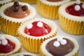 Mini cheese cakes Royalty Free Stock Photo