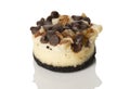 Mini Cheesecake Angled