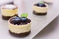 Mini cheesecake with blueberry jam and blueberries with mint leaf on top Royalty Free Stock Photo