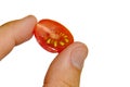 Mini cherry tomato Solanum Lycopersicum var. cerasiforme sliced in a half held between adult man thumb and index finger on white b