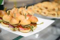 Mini chicken burger are placed on a plate