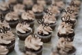 Mini Chocolate Cupcakes with Chocolate Toppers
