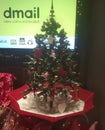 Mini Christmas tree at `dmail`