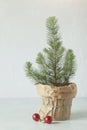 Mini Christmas tree on the white wall background Royalty Free Stock Photo