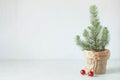 Mini Christmas tree on the white wall background Royalty Free Stock Photo