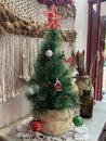 Small Decorated Indoor Christmas Tree