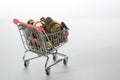 Mini Chrome Shopping Cart Filled To the Top With Coins