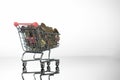 Mini Chrome Shopping Cart Filled To the Top With Coins