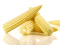 Mini Corn Cobs on white Background - Isolated Royalty Free Stock Photo