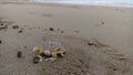 Mini Crab sand