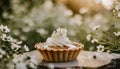 Mini cream tart in a spring arrangement with white flowers. Outdoor photo. Sweet dessert.