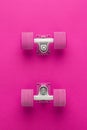 Mini cruiser board disassembled Royalty Free Stock Photo