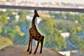 A mini decorative wooden giraffe