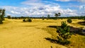 The mini desert of Beekhuizerzand on the Veluwe in the Netherlands Royalty Free Stock Photo