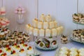 Mini dessert and sweets. Appetizers catering food Royalty Free Stock Photo