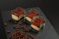 Mini dessert tiramisu on dark background