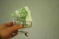 mini dummy shopping cart in human hand with paper euro banknotes as a concept for online shopping, saving, business and making mon