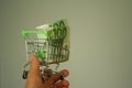 Mini dummy shopping cart in human hand with paper euro banknotes as a concept for online shopping, saving, business and making mon