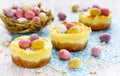 Mini Easter cheesecake nests Royalty Free Stock Photo