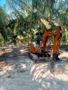 Mini excavator working on oil palm plantation Royalty Free Stock Photo