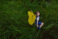 Mini figure of fairy sitting on pine leaves