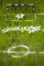 Mini flower football field Royalty Free Stock Photo