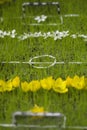 Mini flower football field