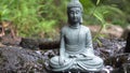 Buddha statue on the background of a forest stream, water flows over the stone. Slow playback speed - 50%.