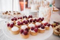 Mini fruit tarts Royalty Free Stock Photo