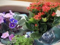 Mini garden with fortunes and violets.