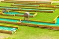 Mini-Golf Royalty Free Stock Photo