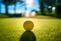 Mini Golf yellow ball on green grass at sunset Royalty Free Stock Photo