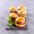 Mini hamburger with beef Royalty Free Stock Photo