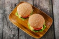 Mini hamburger Royalty Free Stock Photo