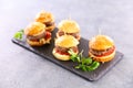 Mini hamburger Royalty Free Stock Photo