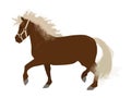 Mini horse or pony with long bright mane and tail