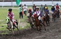 Mini horse race