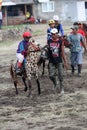 Mini horse race