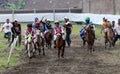 Mini horse race