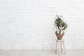 Mini houseplant palm in pot over white brick wall