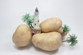 a mini ligth house on the potatoes Royalty Free Stock Photo