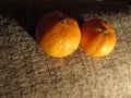 Mini Mandarin oranges