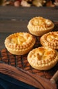 Mini meat pies from flaky dough Royalty Free Stock Photo